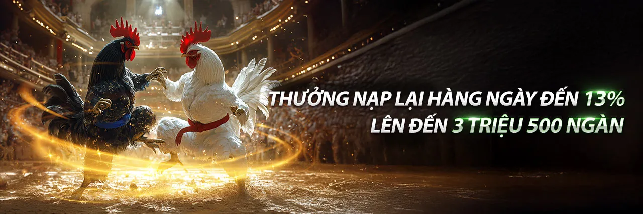 Đá gà trực tiếp C2 ngày 27 tháng 10 - Sân đấu bùng nổ